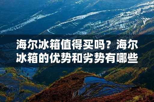 海尔冰箱值得买吗？海尔冰箱的优势和劣势有哪些？