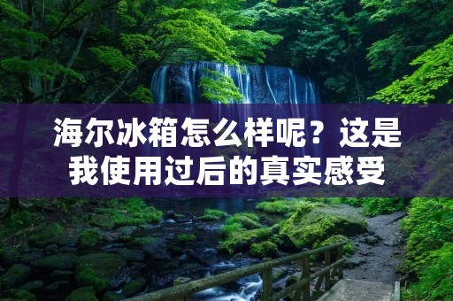 海尔冰箱怎么样呢？这是我使用过后的真实感受