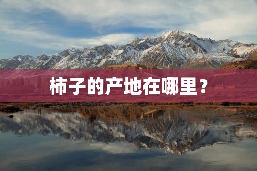 柿子的产地在哪里?