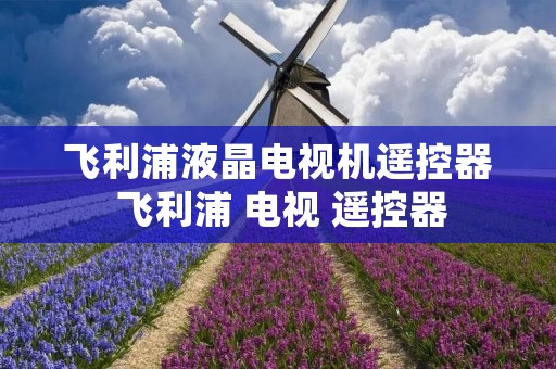 飞利浦液晶电视机遥控器 飞利浦 电视 遥控器 飞利浦液晶电视机遥控器 飞利浦 电视 遥控器
