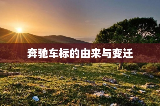 奔驰车标的由来与变迁