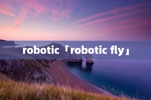 robotic「robotic fly」 robotic「robotic fly」