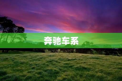 奔驰车系:领袖之选 奔驰车系:领袖之选