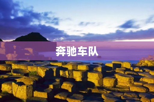 奔驰车队:德国工艺与速度的完美结合 奔驰车队:德国工艺与速度的完美结合