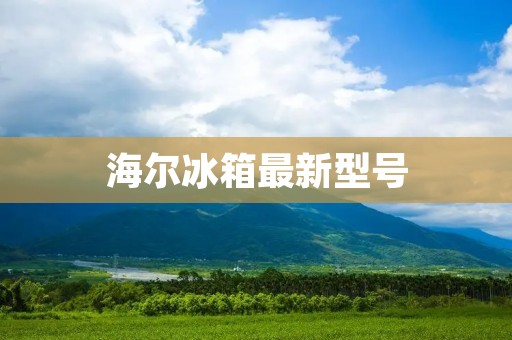 海尔冰箱最新型号:高科技智能冰箱H5000 海尔冰箱最新型号:高科技智能冰箱H5000
