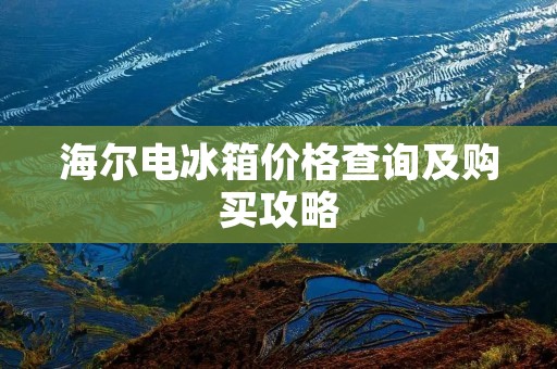 海尔电冰箱价格查询及购买攻略