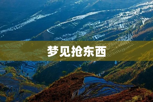 梦见抢东西:意味着什么?