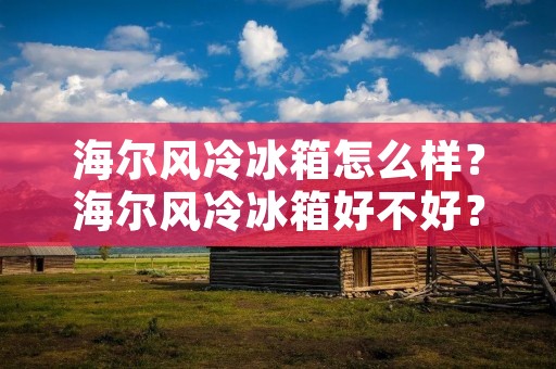 海尔风冷冰箱怎么样?海尔风冷冰箱好不好? 海尔风冷冰箱怎么样?海尔风冷冰箱好不好?