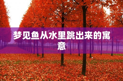梦见鱼从水里跳出来的寓意