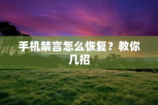 手机禁言怎么恢复？教你几招