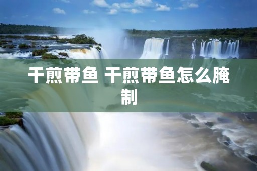 干煎带鱼 干煎带鱼怎么腌制
