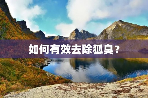 如何有效去除狐臭? 如何有效去除狐臭?