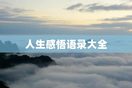 人生感悟语录大全