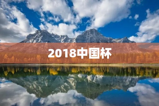 2018中国杯：国足实现两连胜，备战世预赛再添信心