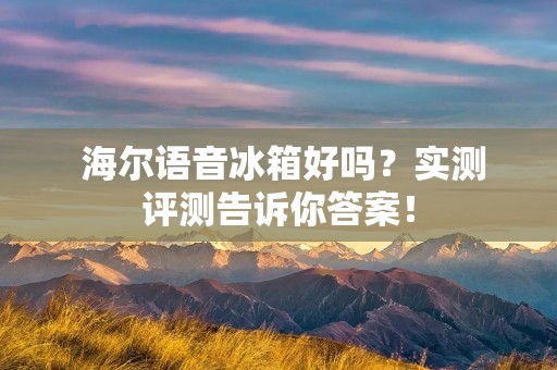 海尔语音冰箱好吗?实测评测告诉你答案! 海尔语音冰箱好吗?实测评测告诉你答案!