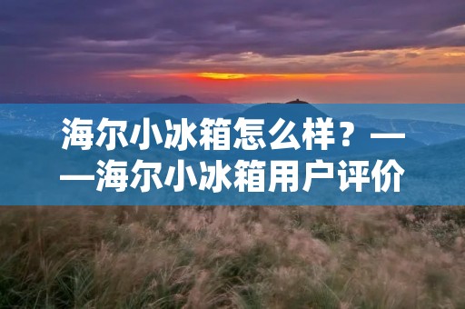 海尔小冰箱怎么样?——海尔小冰箱用户评价分享 海尔小冰箱怎么样?——海尔小冰箱用户评价分享