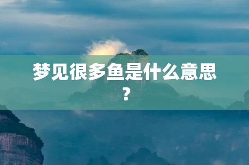 梦见很多鱼是什么意思?
