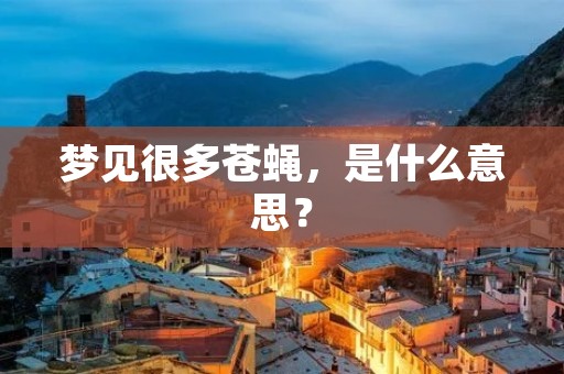 梦见很多苍蝇,是什么意思?