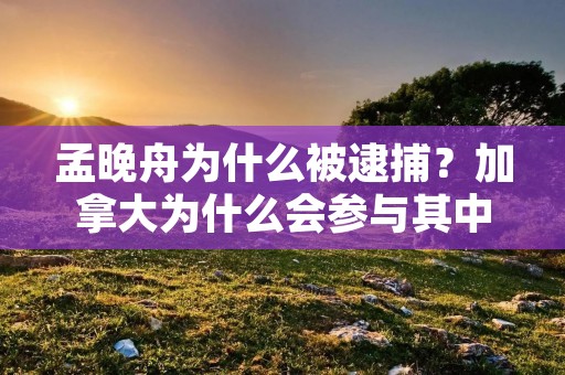 孟晚舟为什么被逮捕?加拿大为什么会参与其中?
