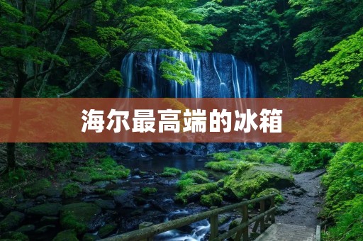 海尔最高端的冰箱:领航者系列 海尔最高端的冰箱:领航者系列