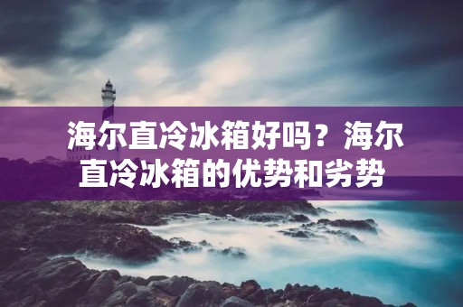 海尔直冷冰箱好吗?海尔直冷冰箱的优势和劣势 海尔直冷冰箱好吗?海尔直冷冰箱的优势和劣势