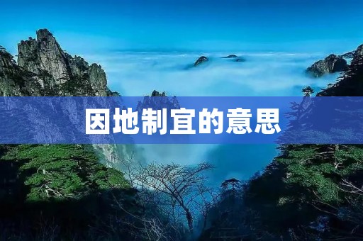 因地制宜的意思 因地制宜的意思