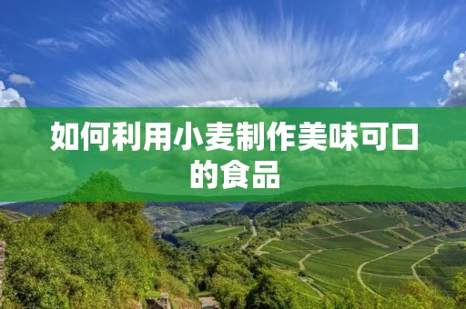 如何利用小麦制作美味可口的食品 如何利用小麦制作美味可口的食品