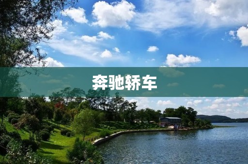 奔驰轿车:绝对的豪华与品质 奔驰轿车:绝对的豪华与品质