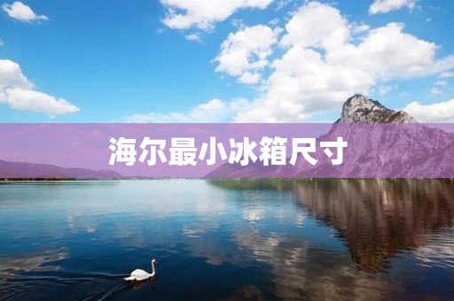 海尔最小冰箱尺寸:适合小家庭的理想选择 海尔最小冰箱尺寸:适合小家庭的理想选择