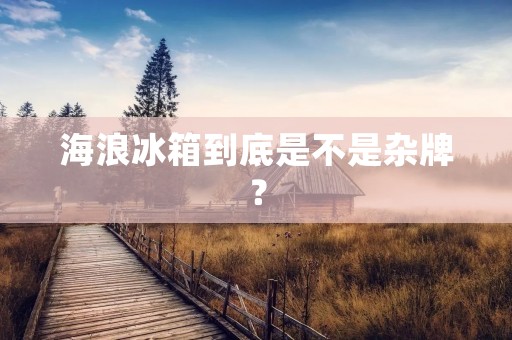 海浪冰箱到底是不是杂牌? 海浪冰箱到底是不是杂牌?