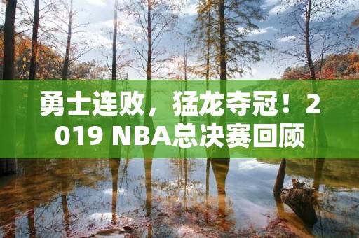勇士连败,猛龙夺冠!2019 NBA总决赛回顾