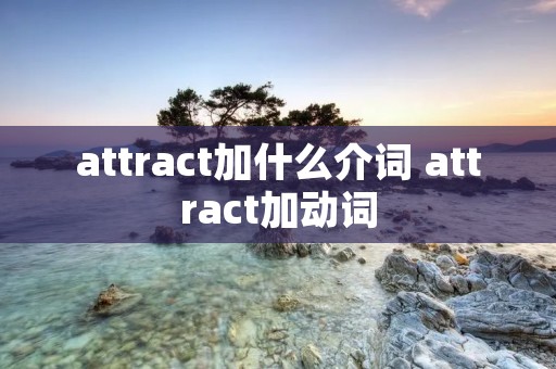 attract加什么介词 attract加动词