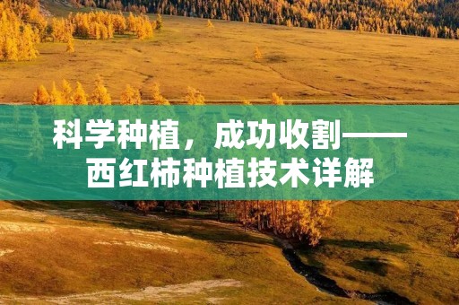 科学种植，成功收割——西红柿种植技术详解