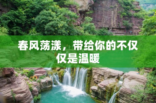 春风荡漾,带给你的不仅仅是温暖 春风荡漾,带给你的不仅仅是温暖