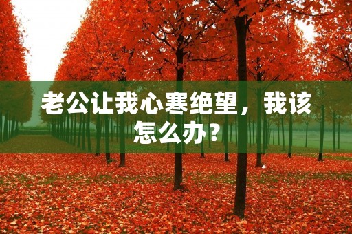 老公让我心寒绝望,我该怎么办?