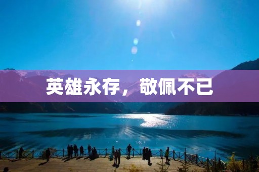 英雄永存,敬佩不已