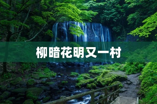 柳暗花明又一村:中国乡村振兴的典范 柳暗花明又一村:中国乡村振兴的典范