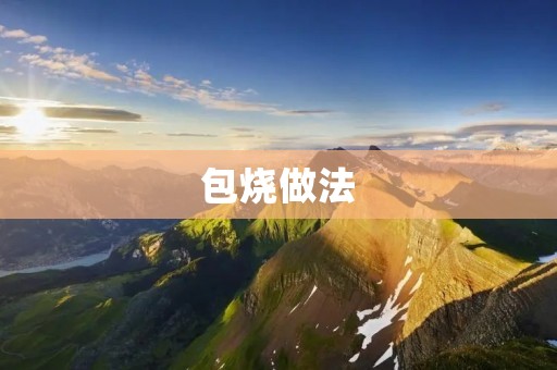 包烧做法:手把手教你制作美味的包子和烧卖 包烧做法:手把手教你制作美味的包子和烧卖