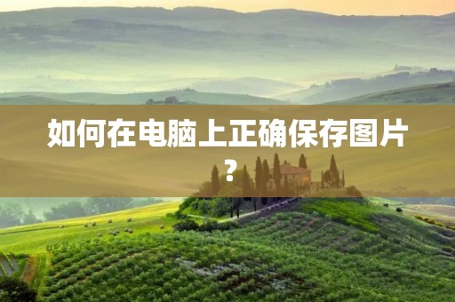 如何在电脑上正确保存图片？