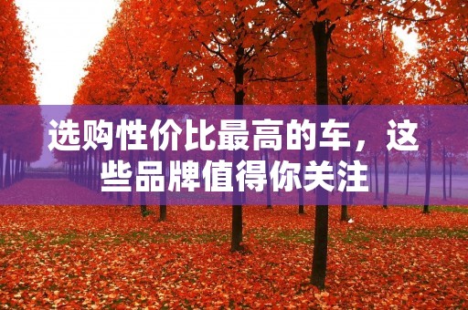 选购性价比最高的车,这些品牌值得你关注
