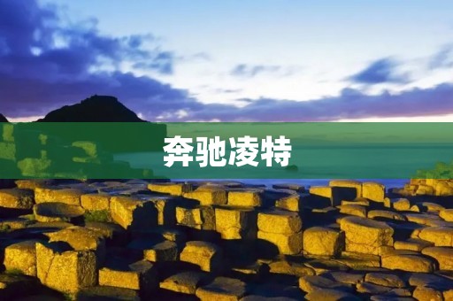 奔驰凌特：豪华商务车的优雅王者