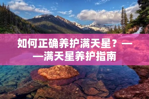 如何正确养护满天星?——满天星养护指南