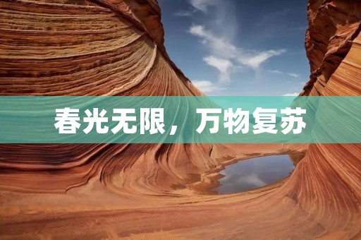 春光无限，万物复苏