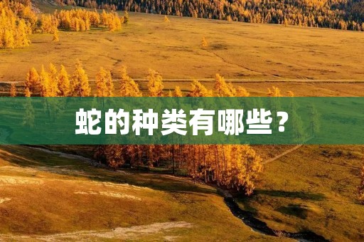 蛇的种类有哪些?