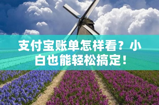 支付宝账单怎样看?小白也能轻松搞定! 支付宝账单怎样看?小白也能轻松搞定!