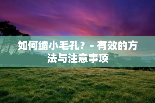 如何缩小毛孔?- 有效的方法与注意事项 如何缩小毛孔?- 有效的方法与注意事项