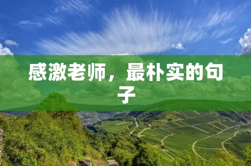 感激老师,最朴实的句子 感激老师,最朴实的句子