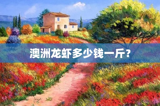 澳洲龙虾多少钱一斤?