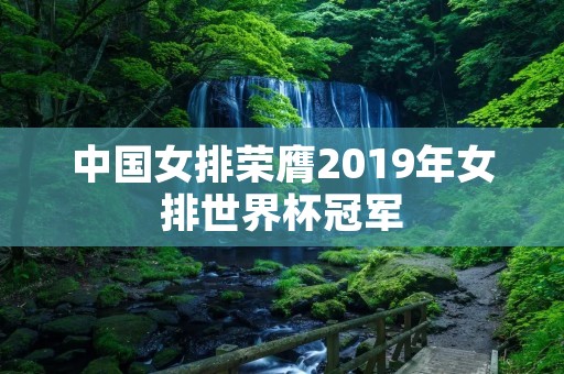 中国女排荣膺2019年女排世界杯冠军 中国女排荣膺2019年女排世界杯冠军