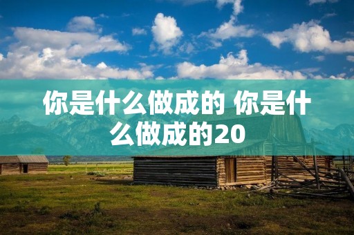 你是什么做成的 你是什么做成的20
